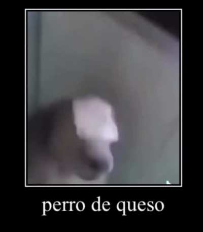 the sequel to butter dog
