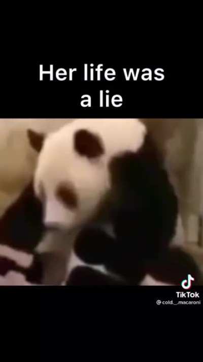 He freaked out