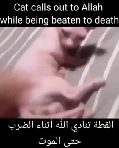 ALLAH 🙏
