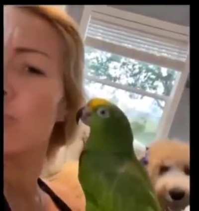 Jealous