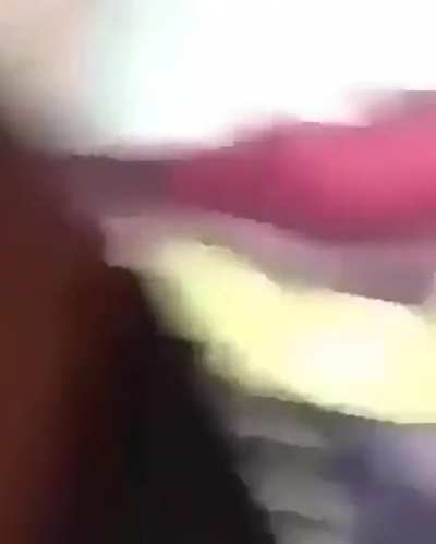 Perro