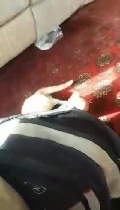 Goose didn't want me having a snack