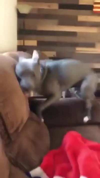 The look on his face at the end.