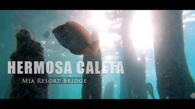 Sunset below the Mia Reef bridge, Isla Mujeres, Mexico