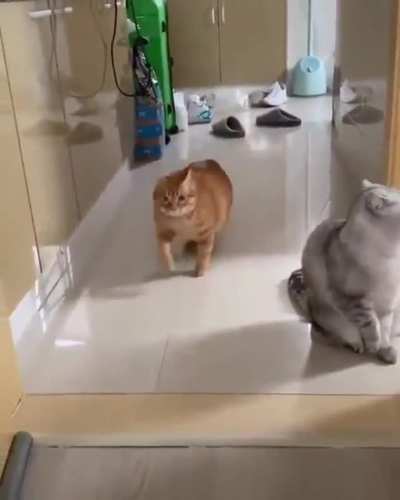 He Schmoovin'