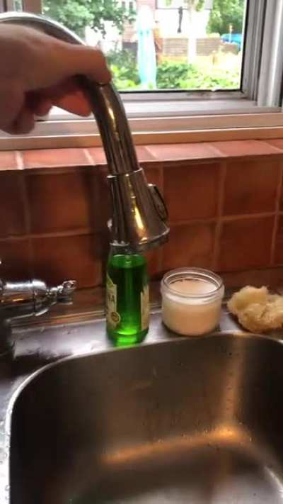 My faucet is calling Flipper 🐬