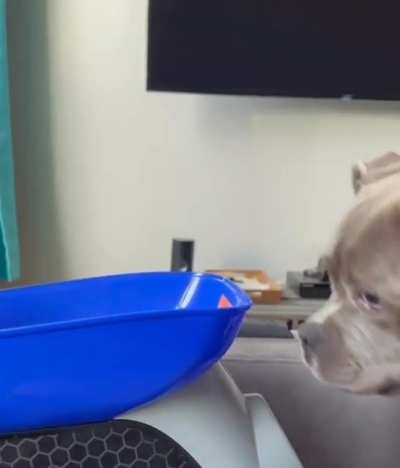On one hand, he’s figured out the ball launcher…on the other hand…