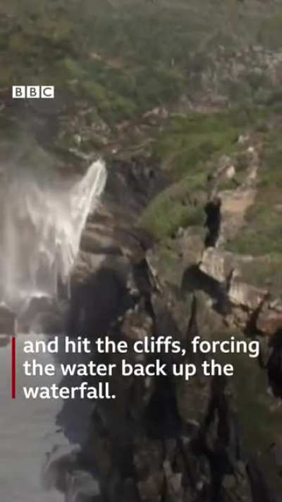 Австралия 🇦🇺