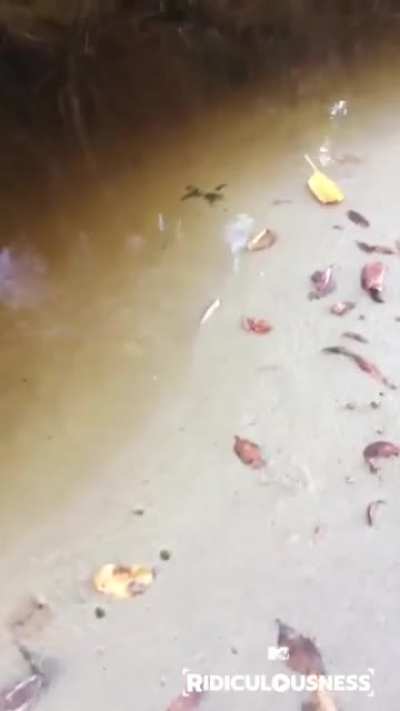 Maybe Maybe Maybe