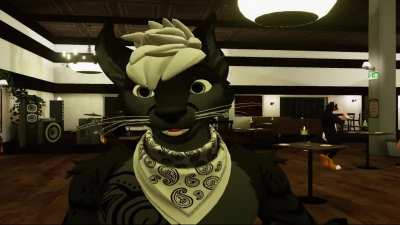 How it can feel talking to Furries sometimes.