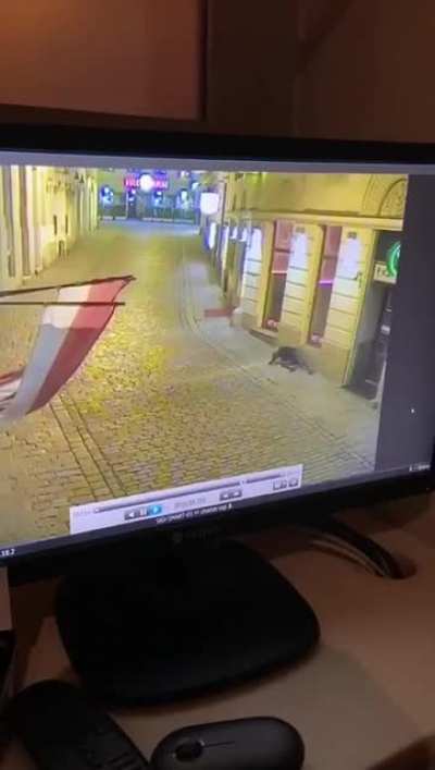 Viyana'daki saldırı