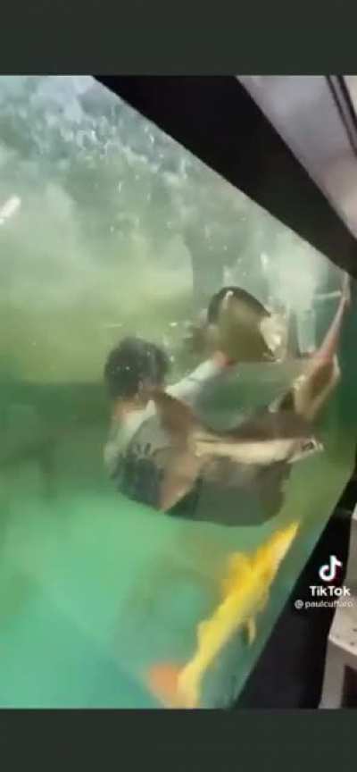 One hit KO by the fish
