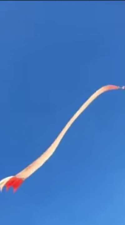 Perfect day to fly a kite