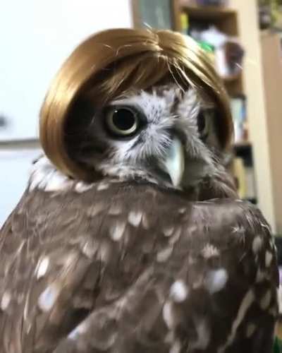 Maybe Maybe Maybe