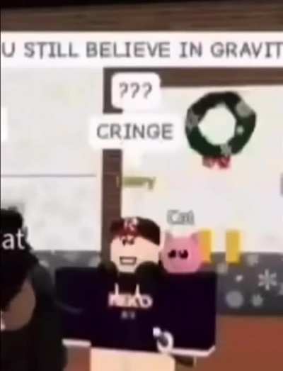 bro still believes in gravity 😂😂😂