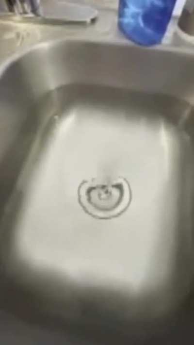 Moldy sink