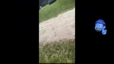 brawlin