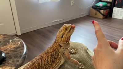 That is not a food