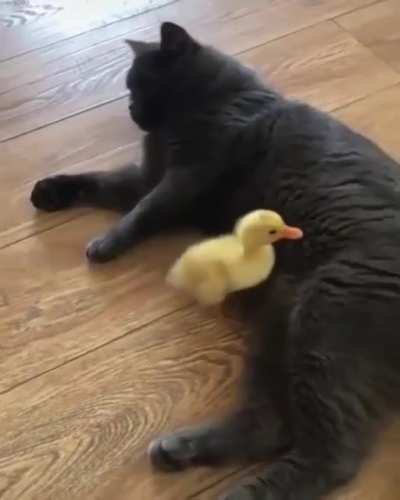 Maybe maybe maybe