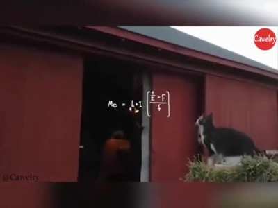 To reach the ledge