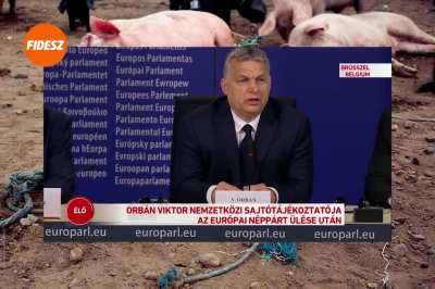 Megnyalta a kecske a tökét!