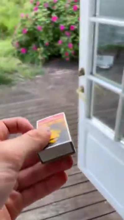 Getting rid of bugs in your house