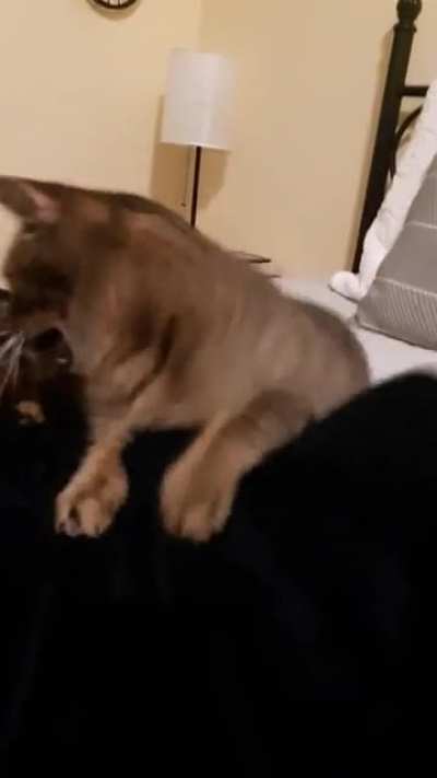 Hands under blanket = Guarenteed derp face.