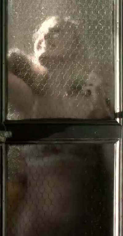 Elle Fanning got locked out of her boyfriend's apartment in her underwear during rain. Maybe the patrons of the bar on ground level will help her to warm up and fill her holes with hot cum?
