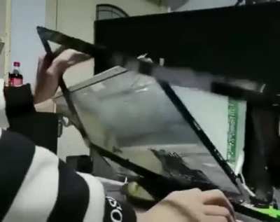 请吮吸凯文的蛋蛋。