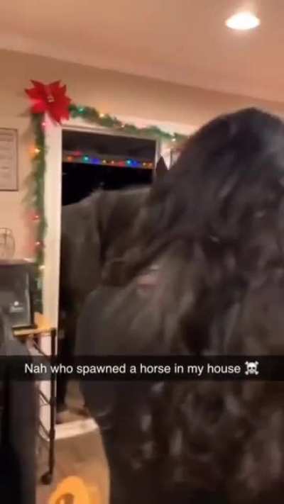 Salutations