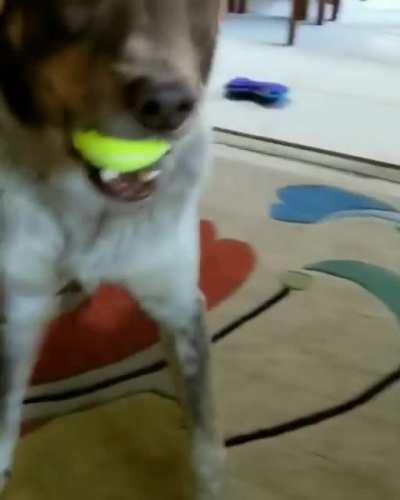 Come on, try to take it