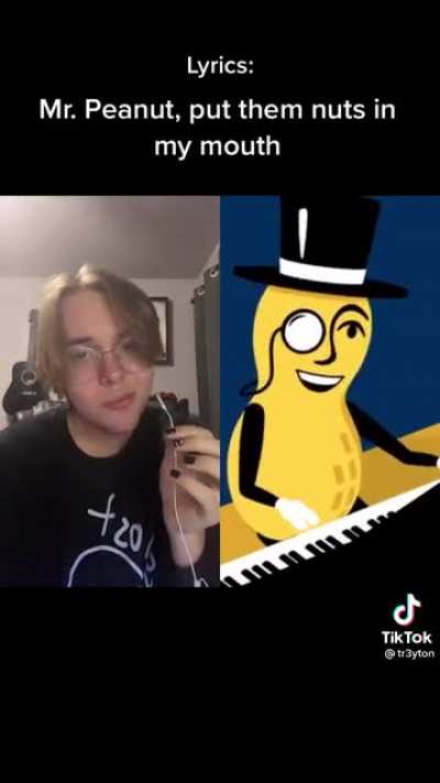 Mr. Peanut jingle submission