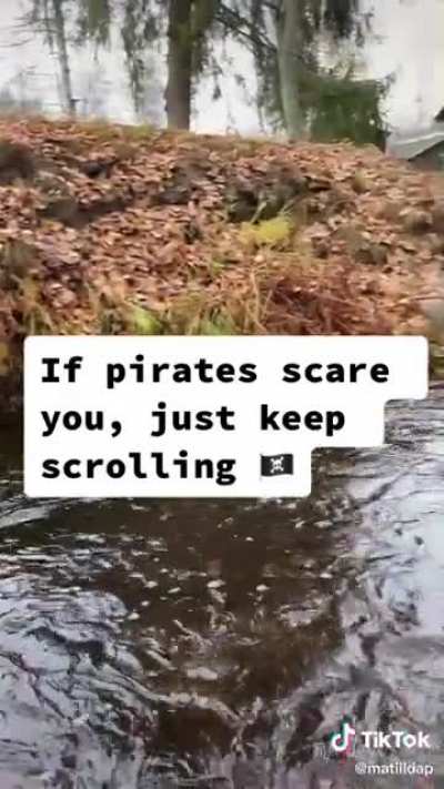 That is the best pawrate I’ve ever seen