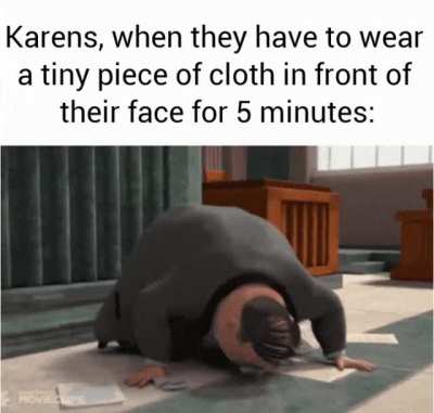 Bee Movie Lawyer
