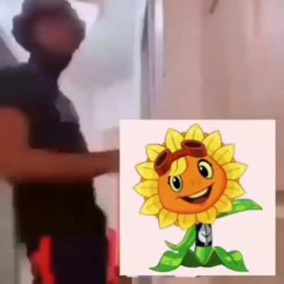 Yo