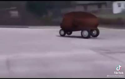 DaWhip