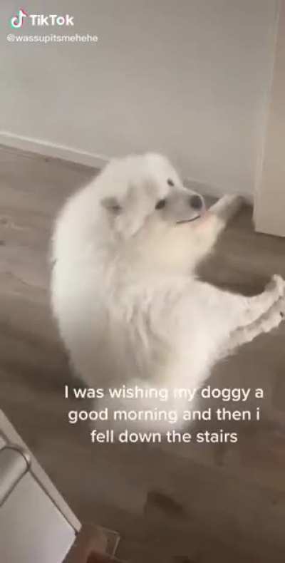 LOL