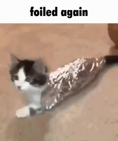 Rule