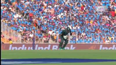 Peak Cricket 