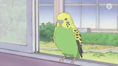 bird (Re-up ver.)