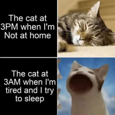 It do be like that tho