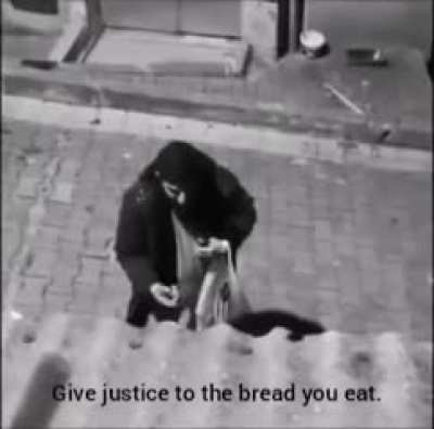 Drunk guy arguing with a streetdog about communism and narcissism