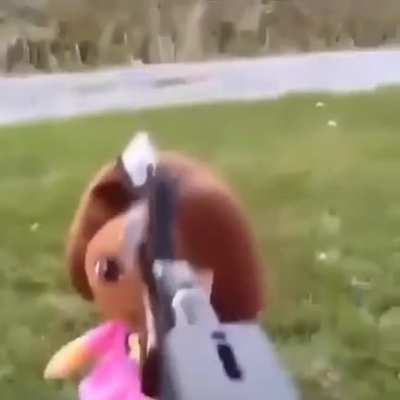 dora