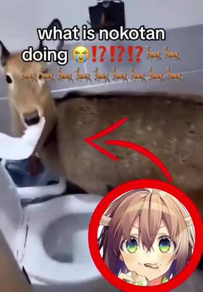 Baka wunk