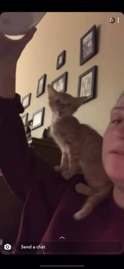 My brother’s girlfriend fosters kittens, and this one loves to scream