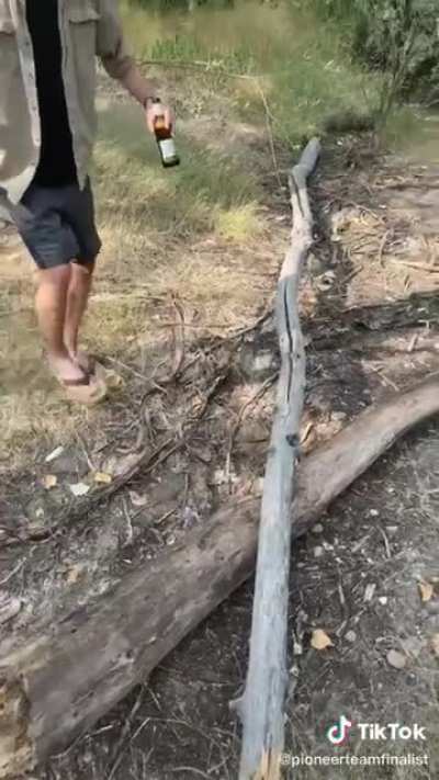 Engineering genius
