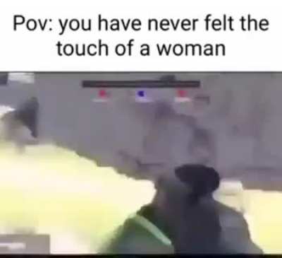 No bitches