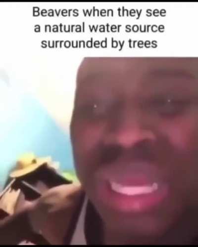 rule