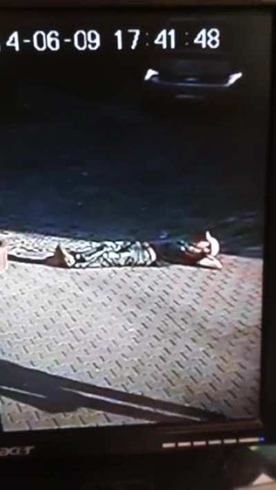 WCGW when you get kicked out of a bar for drinking too much and decides to take a nap on the sidewalk?