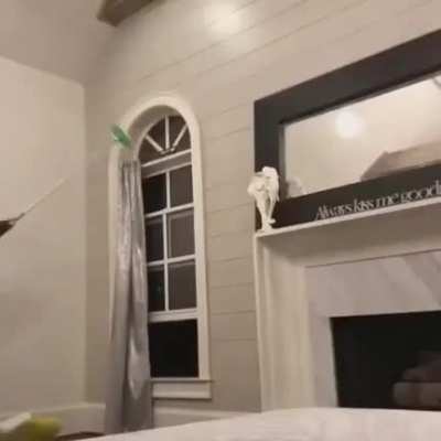 A 🐿️